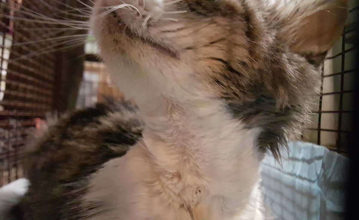 Wire Mom healed!